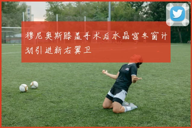 穆尼奥斯膝盖手术后水晶宫冬窗计划引进新右翼卫