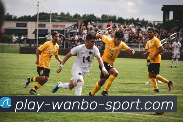 万博体育APP 高清赛事图